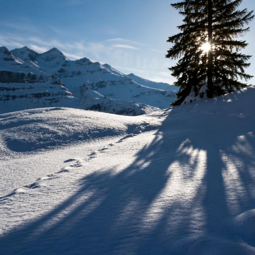 Schatten im Schnee