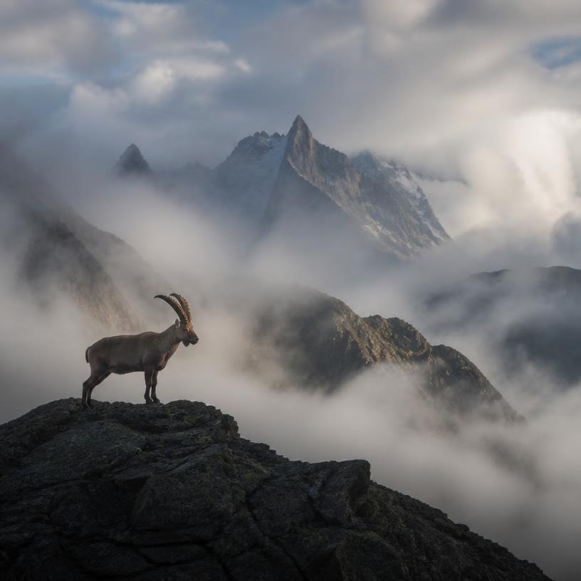 Mystische Höhen und geheimnisvolle Nebel