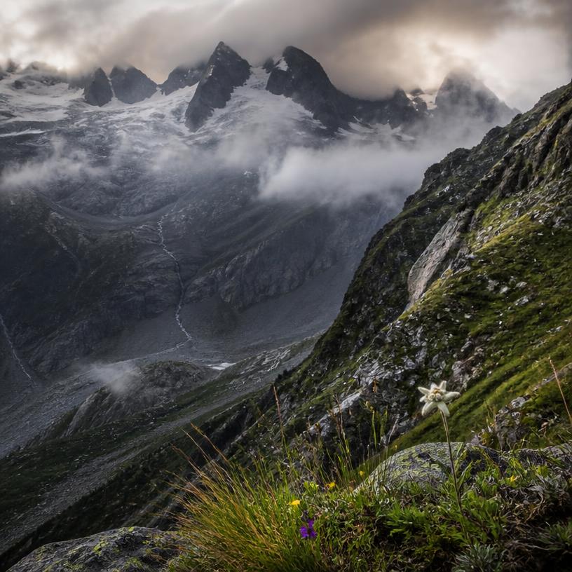 Alpen: Das Geheimnisvolle Terrain