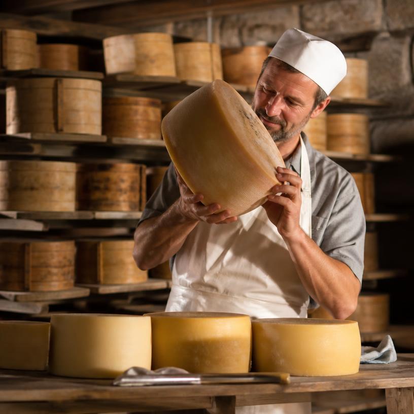 Käse-Knobler: Bist du der Käseprofi?