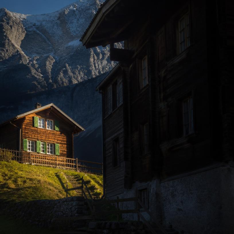 Im Schatten deiner Nachbarn